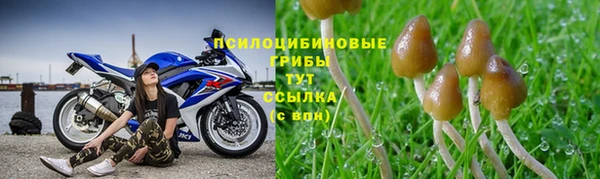 стаф Карпинск